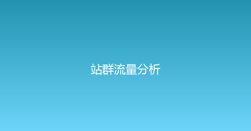 站群流量分析 封面图