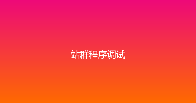 站群程序调试 封面图