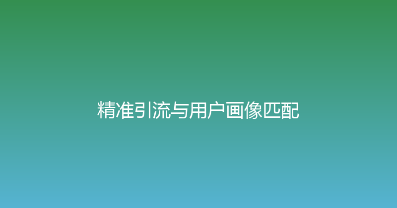 精准引流与用户画像匹配 封面图