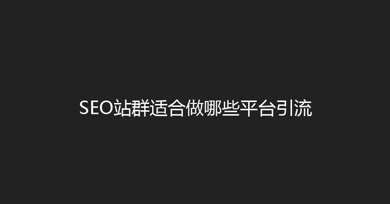 SEO站群适合做哪些平台引流 封面图